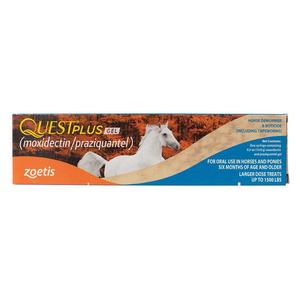 Quest plus