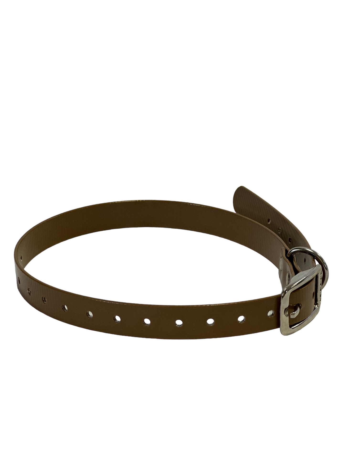 3/4" Dayglo Collar