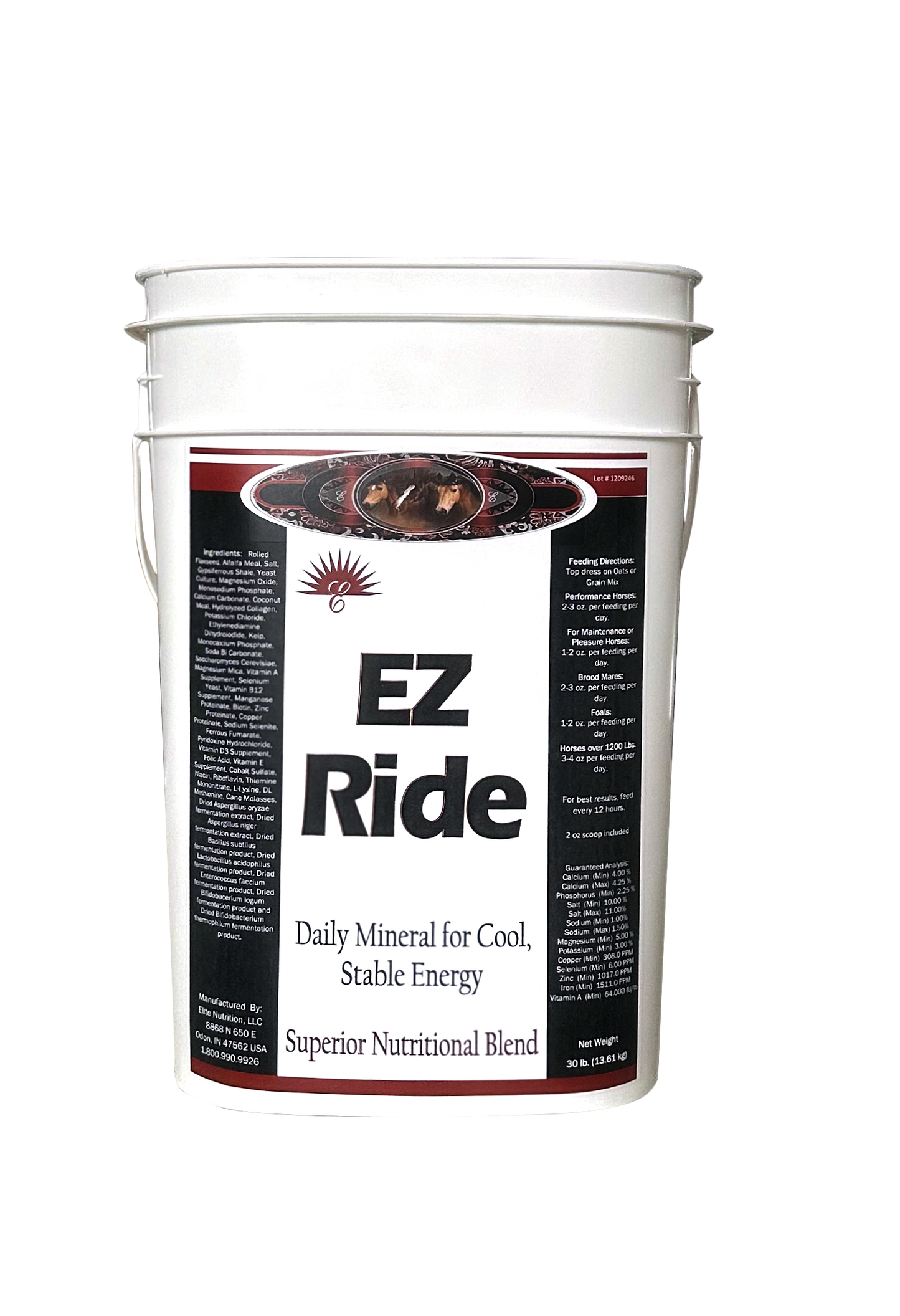 EZ Ride