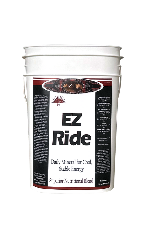 EZ Ride
