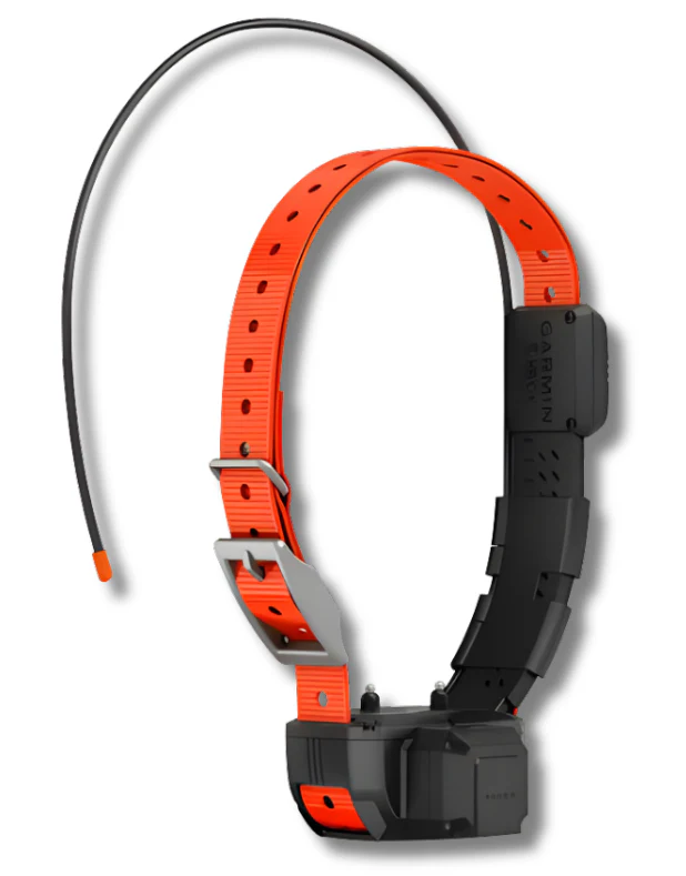Alpha® TT 25 Dog Collar with Tracking Beeper