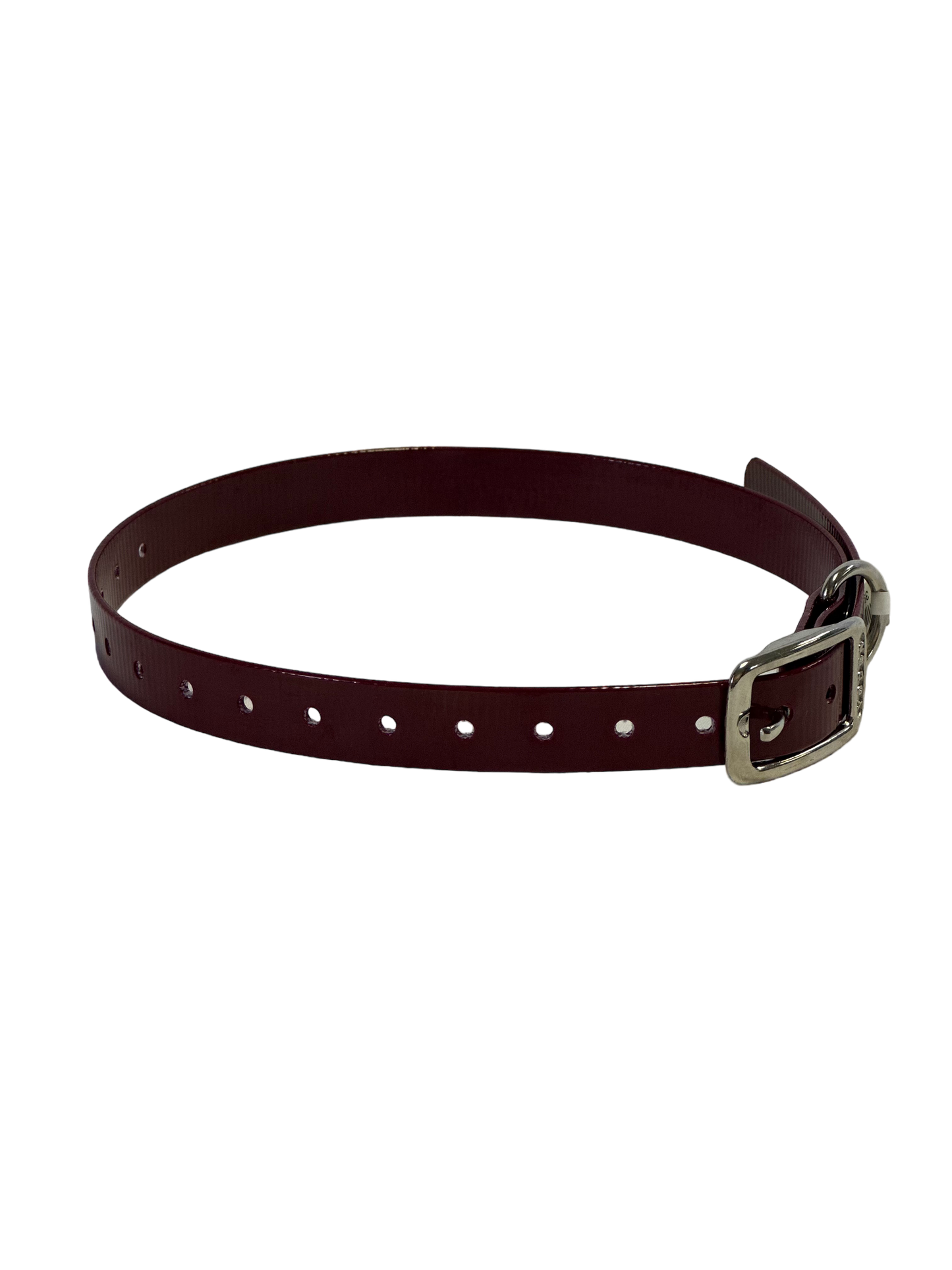 1'' DayGlo Collar