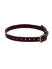 1'' DayGlo Collar