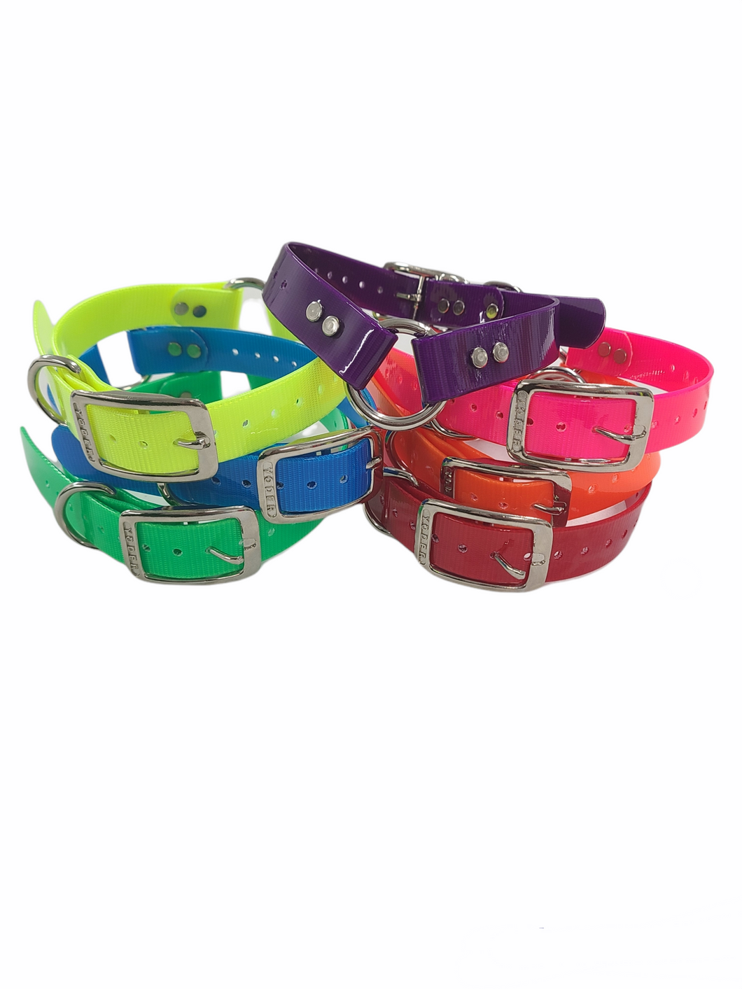 1'' Dayglo Collar w Center Ring