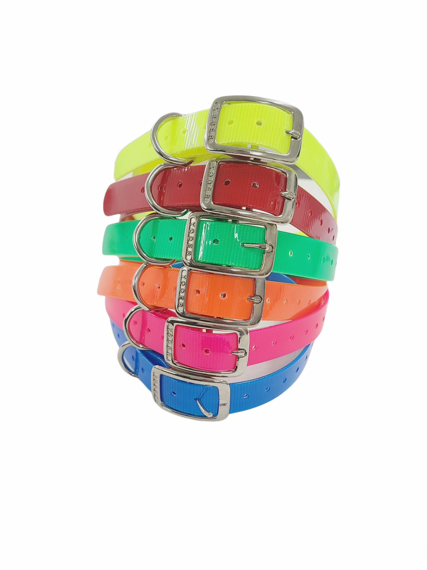 1'' DayGlo Collar
