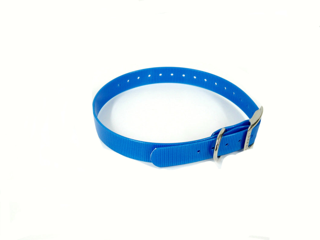 1'' DayGlo Collar