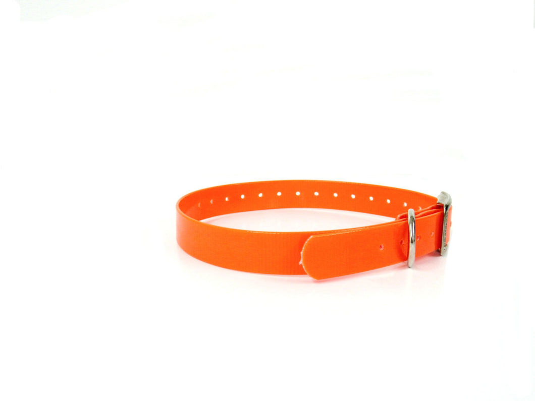 1'' DayGlo Collar