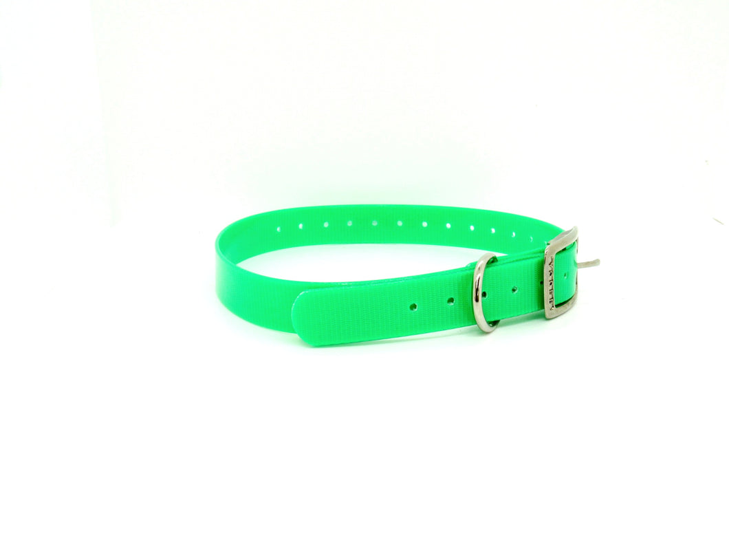 1'' DayGlo Collar