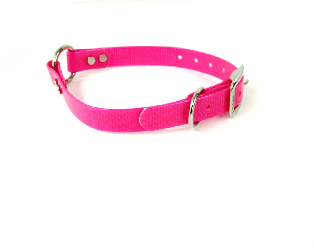 3/4'' DayGlo Collar w Center Ring