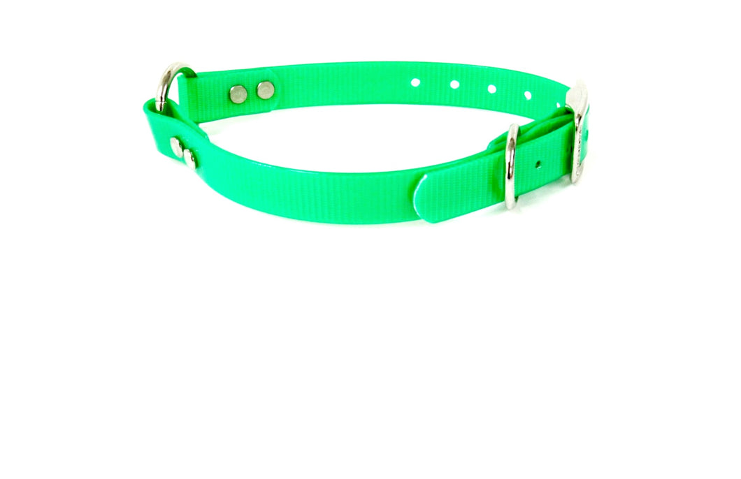 3/4'' DayGlo Collar w Center Ring