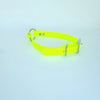 3/4'' DayGlo Collar w Center Ring