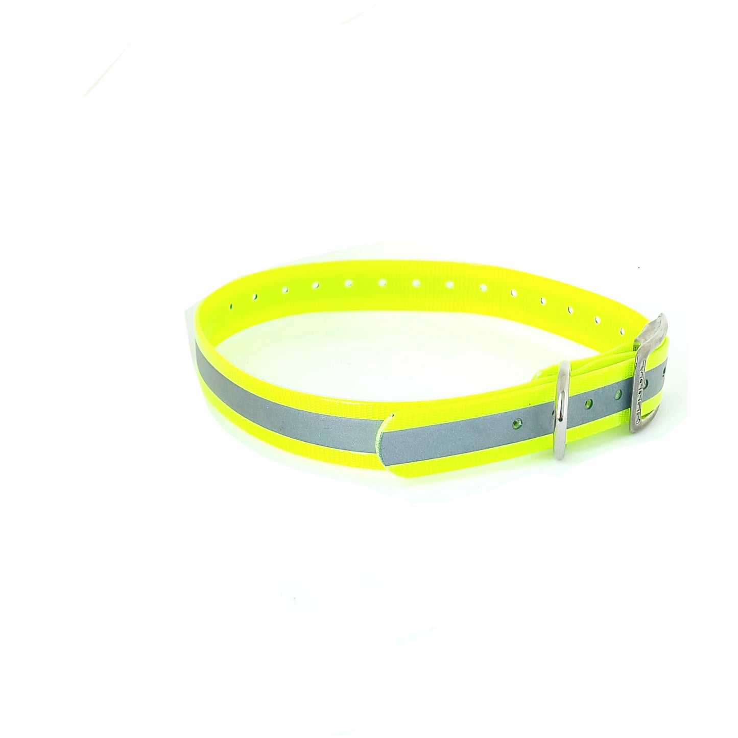 1''DayGlo Reflective Collar