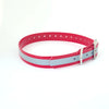 1''DayGlo Reflective Collar
