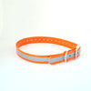 1''DayGlo Reflective Collar