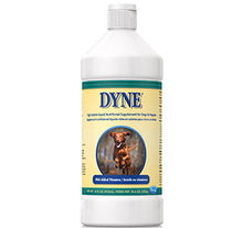 Load image into Gallery viewer, Dyne Nutritional Supplement
