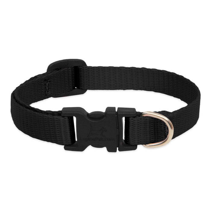 Lupine Basic Solids Dog Collar