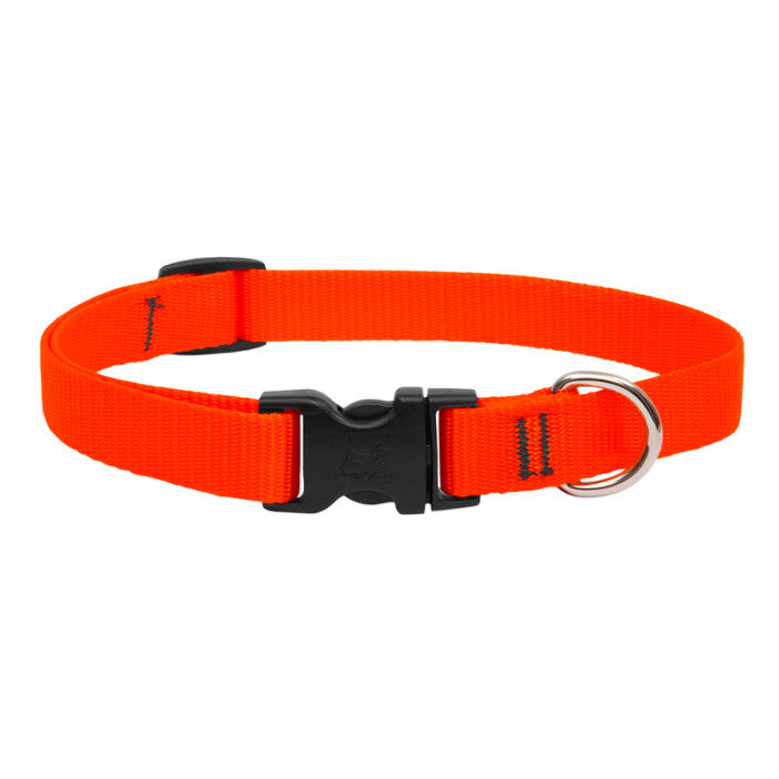 Lupine Basic Solids Dog Collar