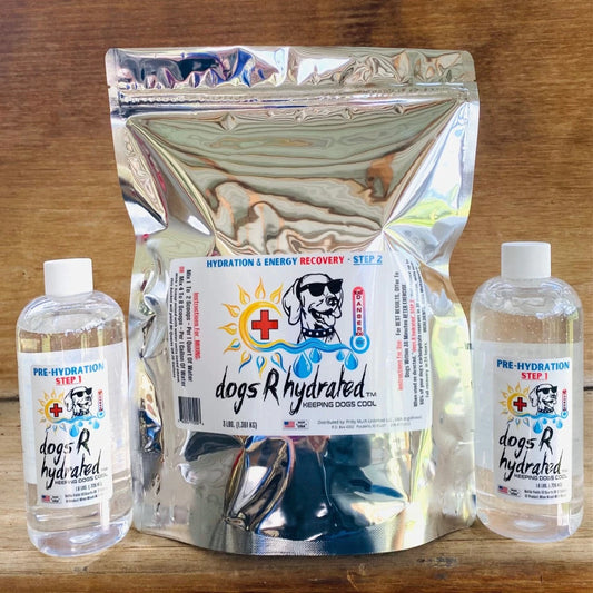 Hydration & Energy Recovery System