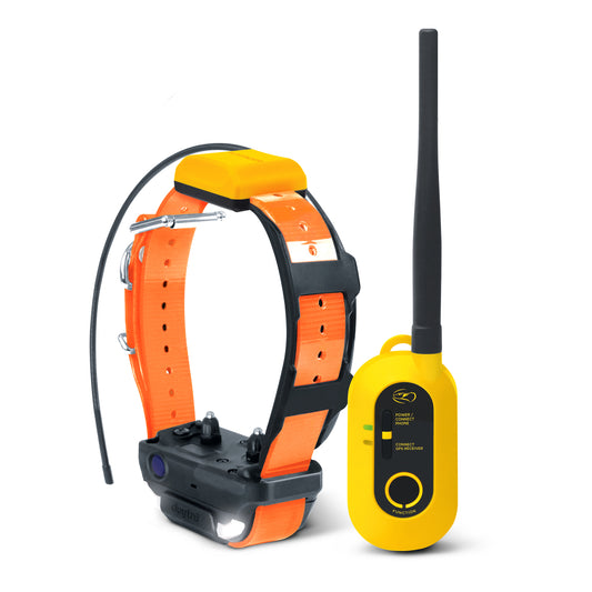 Dogtra Pathfinder 2