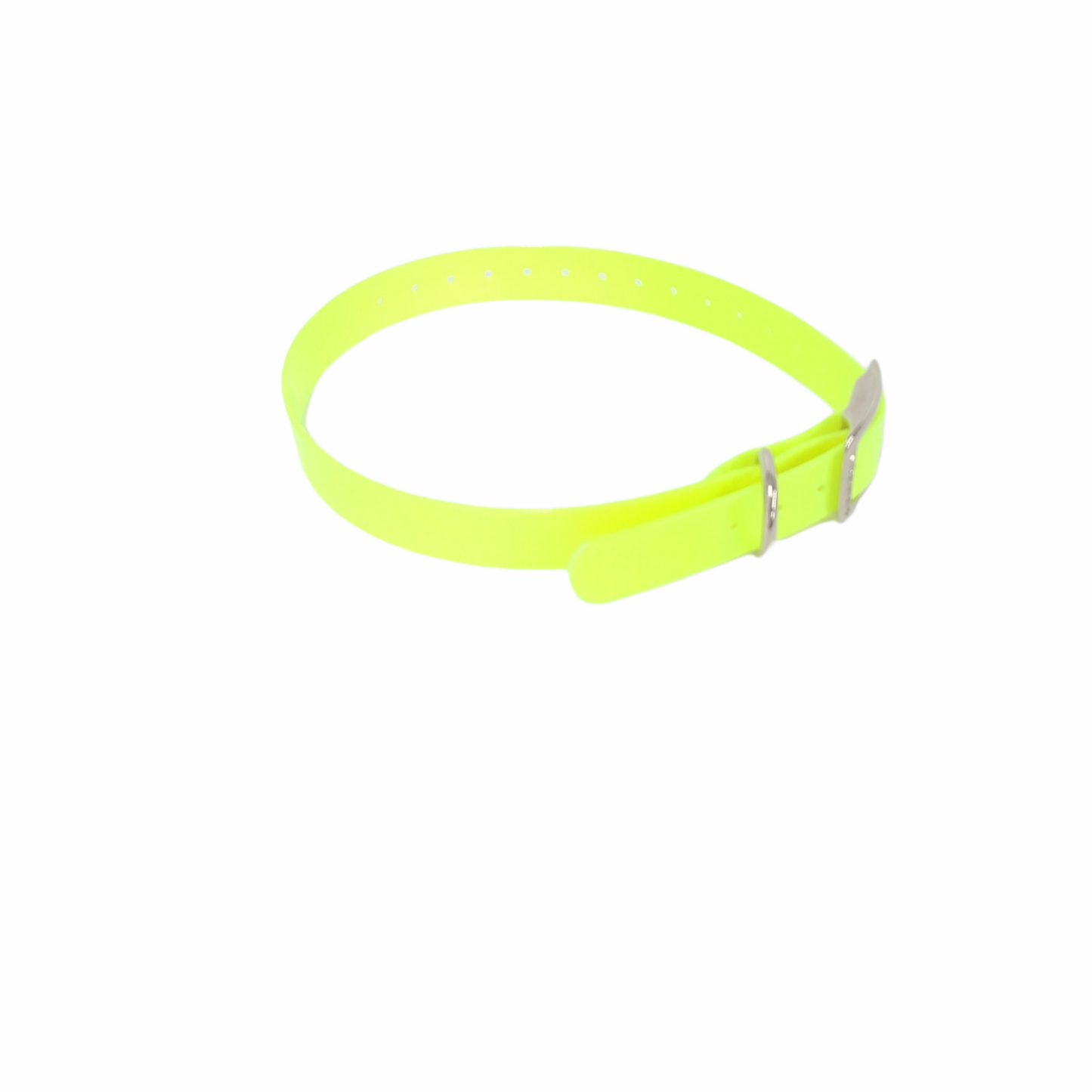 1'' DayGlo Collar