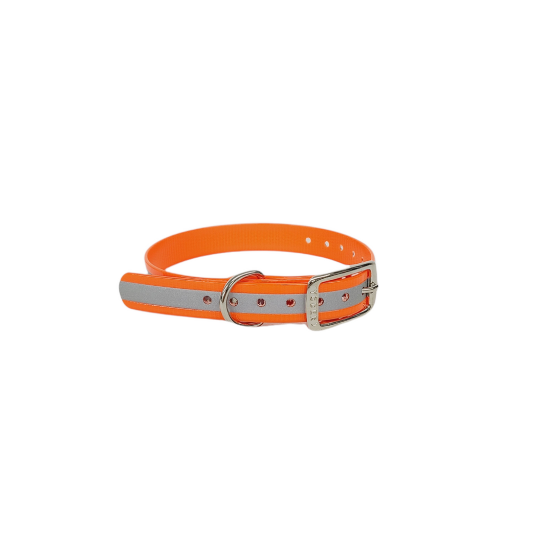 3/4'' Dayglo Reflective  Collar