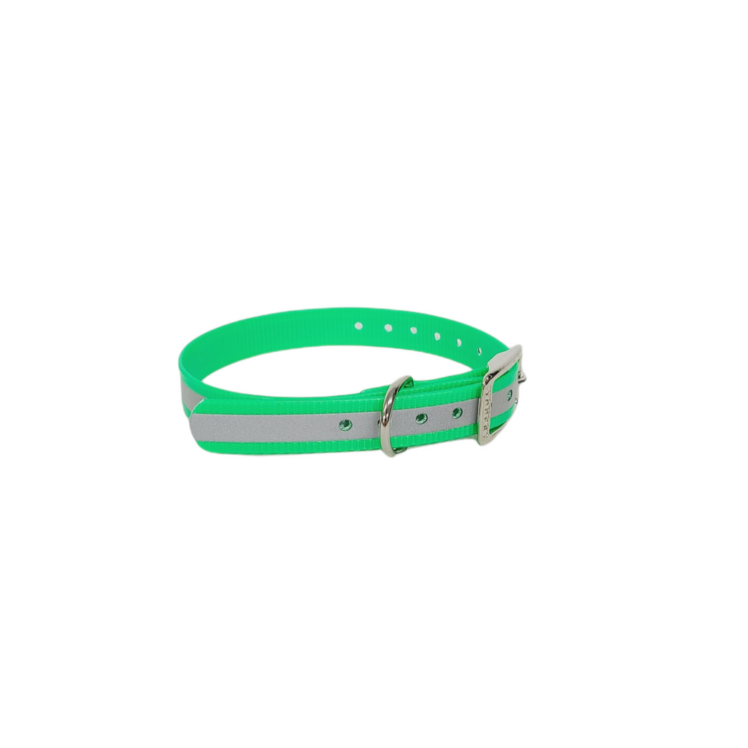 3/4'' Dayglo Reflective  Collar