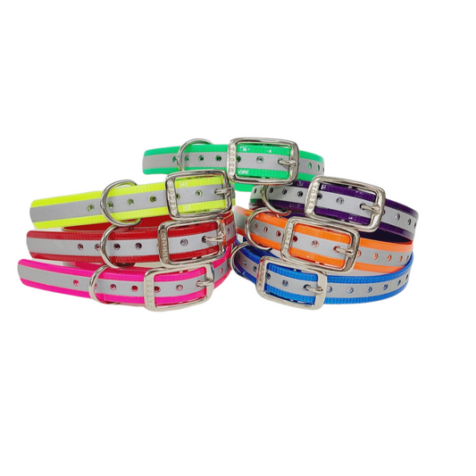 3/4'' Dayglo Reflective  Collar