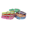 3/4'' Dayglo Reflective  Collar