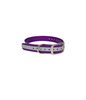 1''DayGlo Reflective Collar