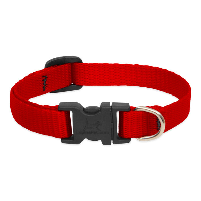 Lupine Basic Solids Dog Collar