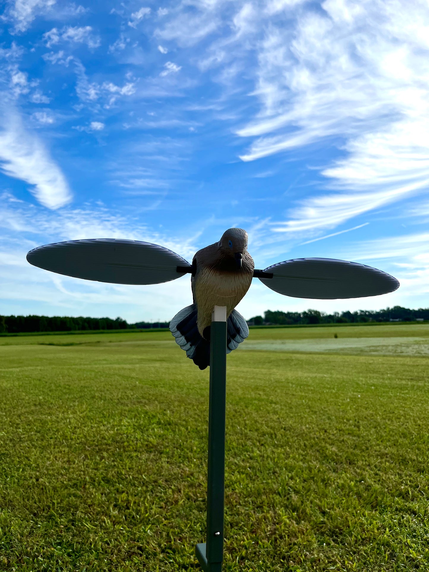Mojo HW2300 Voodoo Motorized Dove Decoy, Spinning Wings, Support Pole, Runs on 4-AA Batteries