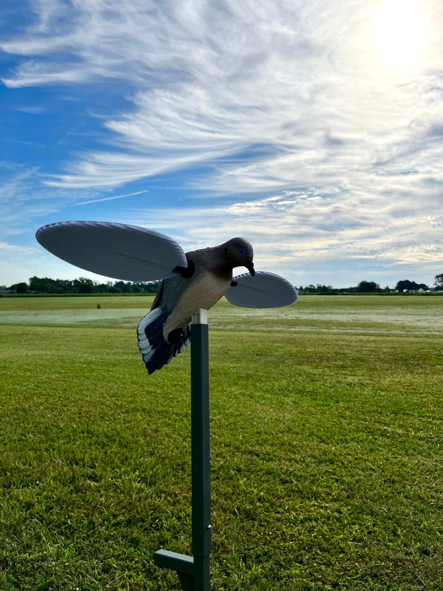 Mojo HW2300 Voodoo Motorized Dove Decoy, Spinning Wings, Support Pole, Runs on 4-AA Batteries