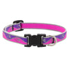 Lupine Reflective Dog Collar